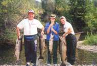 August 2001 Spring run Chinook salmon.