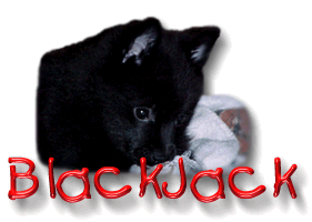 BlackJack!