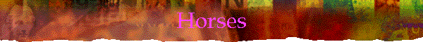 Horses