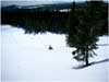 Here's Cindy on her 550 RMK on the back side of Ash Creek Loop.