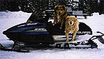 Budd and Shelby