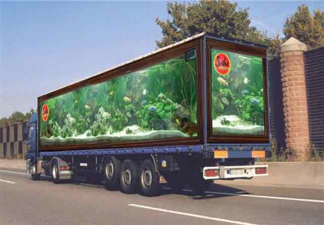 truckart5.jpg