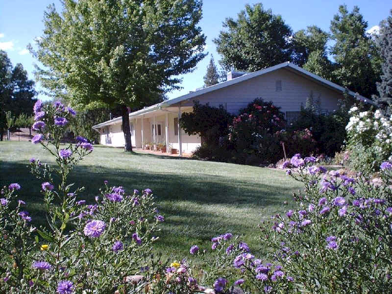 Back yard surrounded with flowers