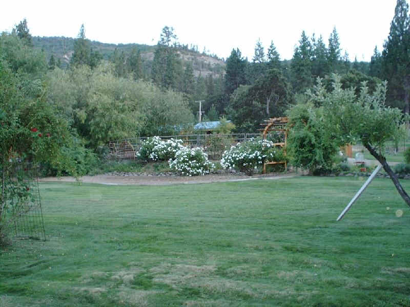 Roundpen nestled in roses