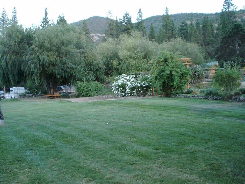 Large back yard for entertaining