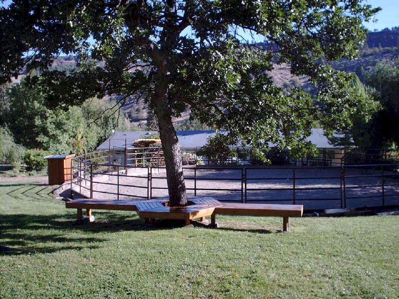 Watch your friends and family ride in the roundpen from the shade covered bench