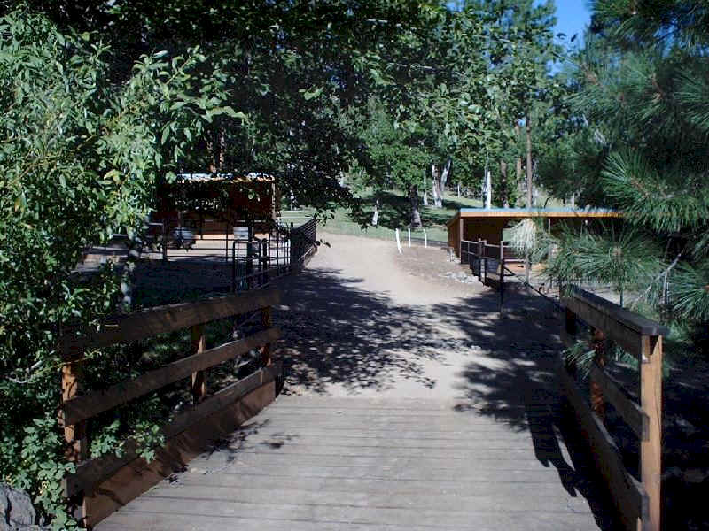 Crossing this upper bridge will take you into the  pasture