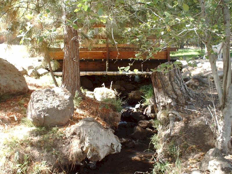 The creek works its way over rocks and through shadows