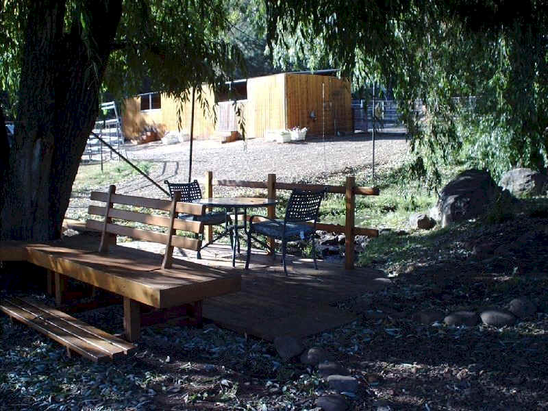 Have lunch under the willow tree by the creek 