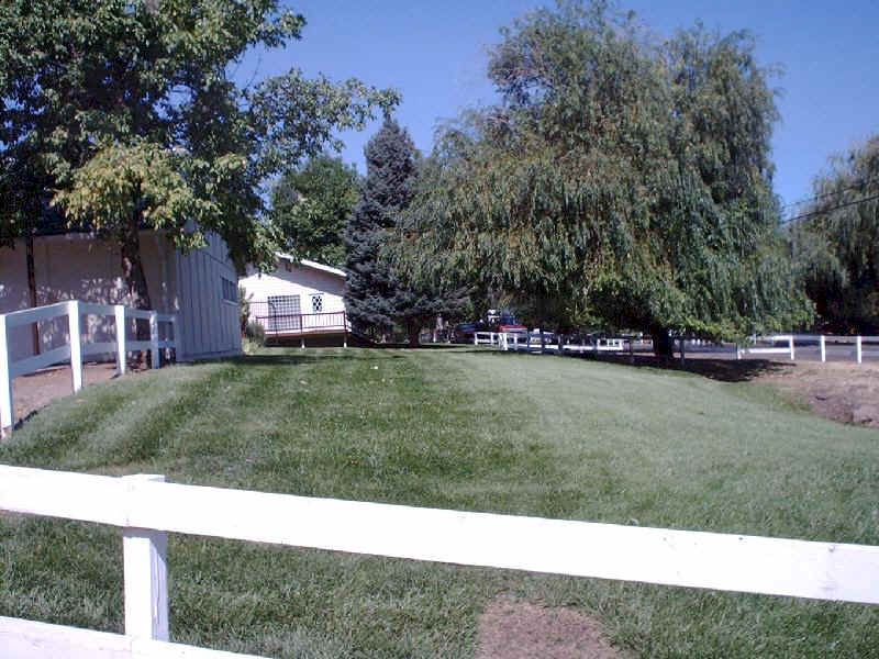 Front yard of the ranch house