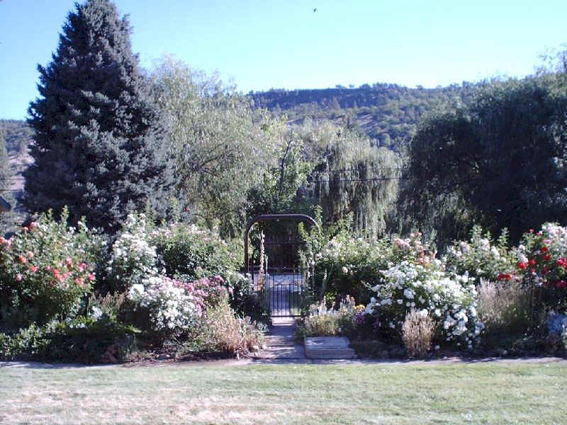 Gate leading through the rose garden