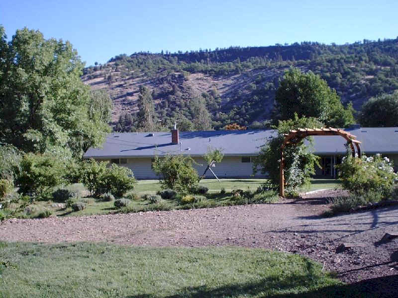 A raised herb garden in the back yard