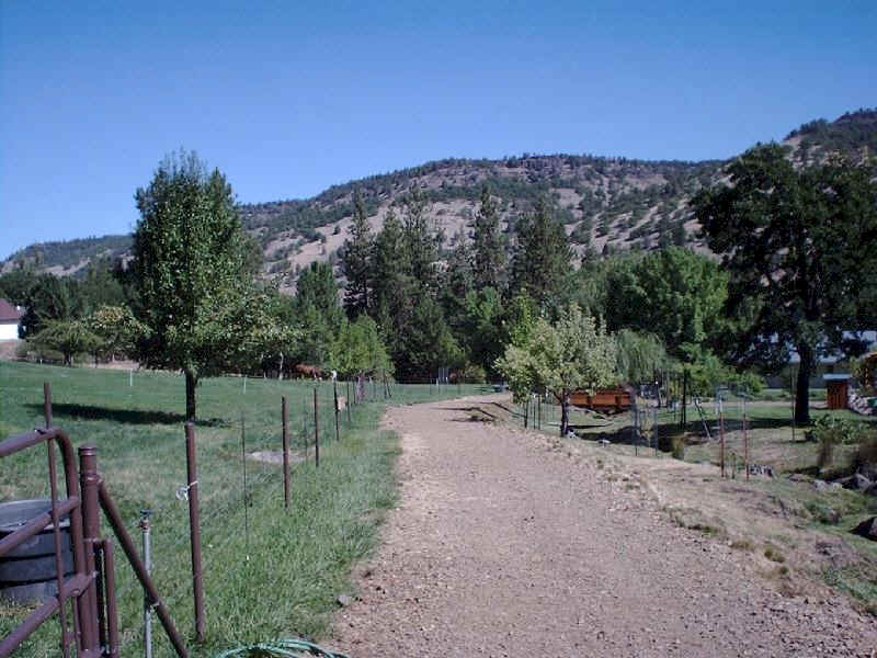 A walkway between the pasture and the creek