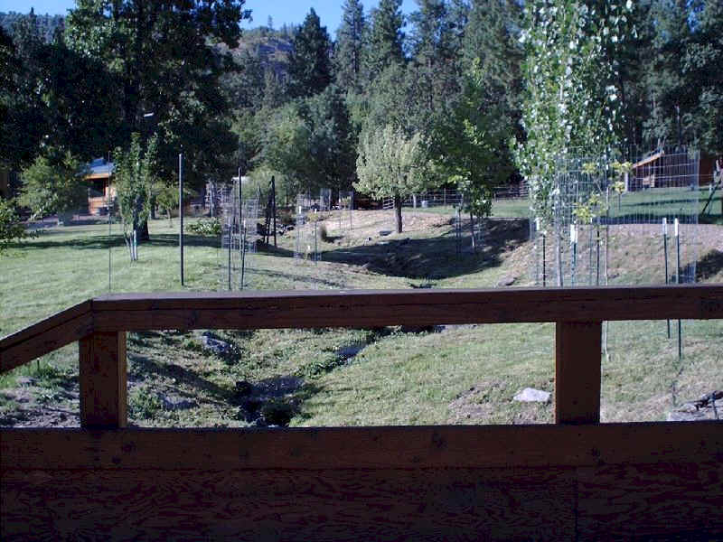 Looking up the creek from lower bridge