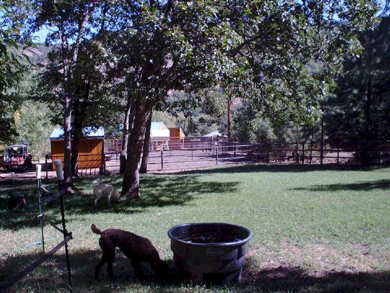 Pasture above horse shelters