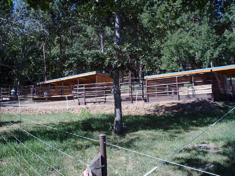 Upper two shelters in the pines