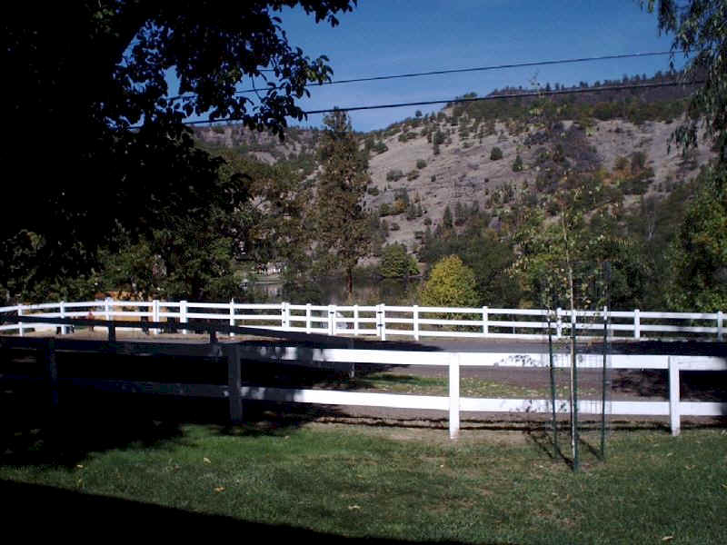 View of the Lake from the front yard