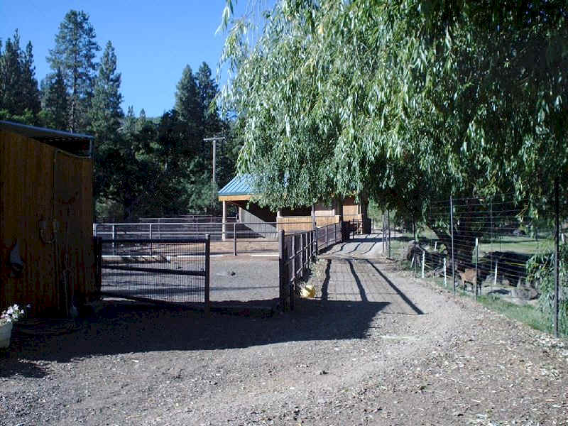 Walkway between lower shelters and the creek