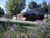 Backyard surrounded with flowers