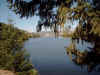 Looking to the west across the lake