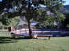 Watch all the excitement in the roundpen from this bench in the shade