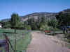 Walkway between pasture and creek