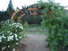 Rose covered arbour on one of the many walkways