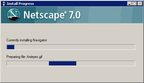 Netscape Setup