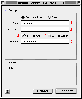 The Remote Access Control Panel